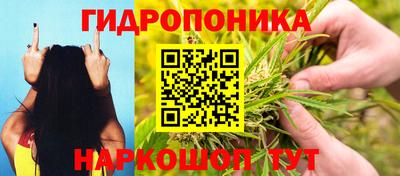 сатива Татарск