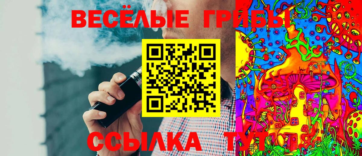 Галлюциногенные грибы Psilocybine cubensis  Вход с VPN  Нижний Новгород 
